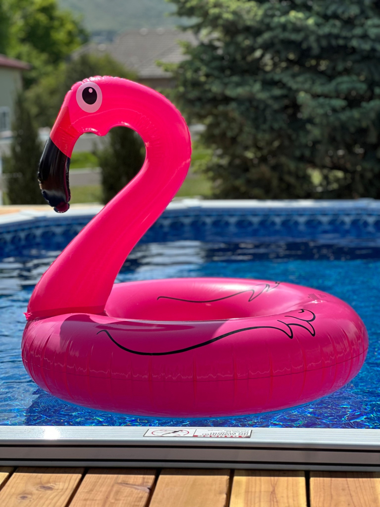 Pool floatie, pool toys, flamingo inflatable, summer pool

#LTKSeasonal #LTKHome #LTKParties
