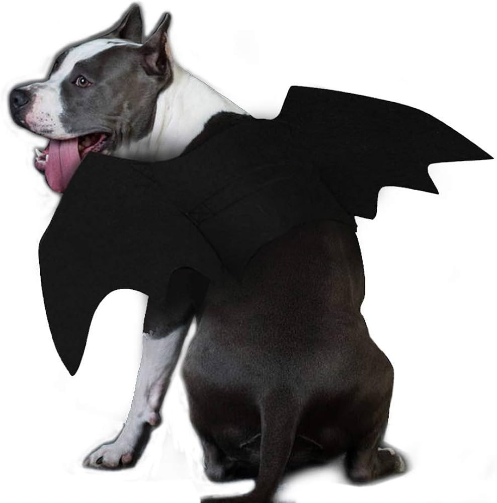Ehdching Cat Costume Halloween Pet Bat Wings Cat Dog Bat Costume, Halloween Costumes for Small Me... | Amazon (US)