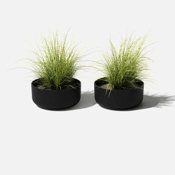 Mason Series Kona Bowl Planter | Wayfair North America