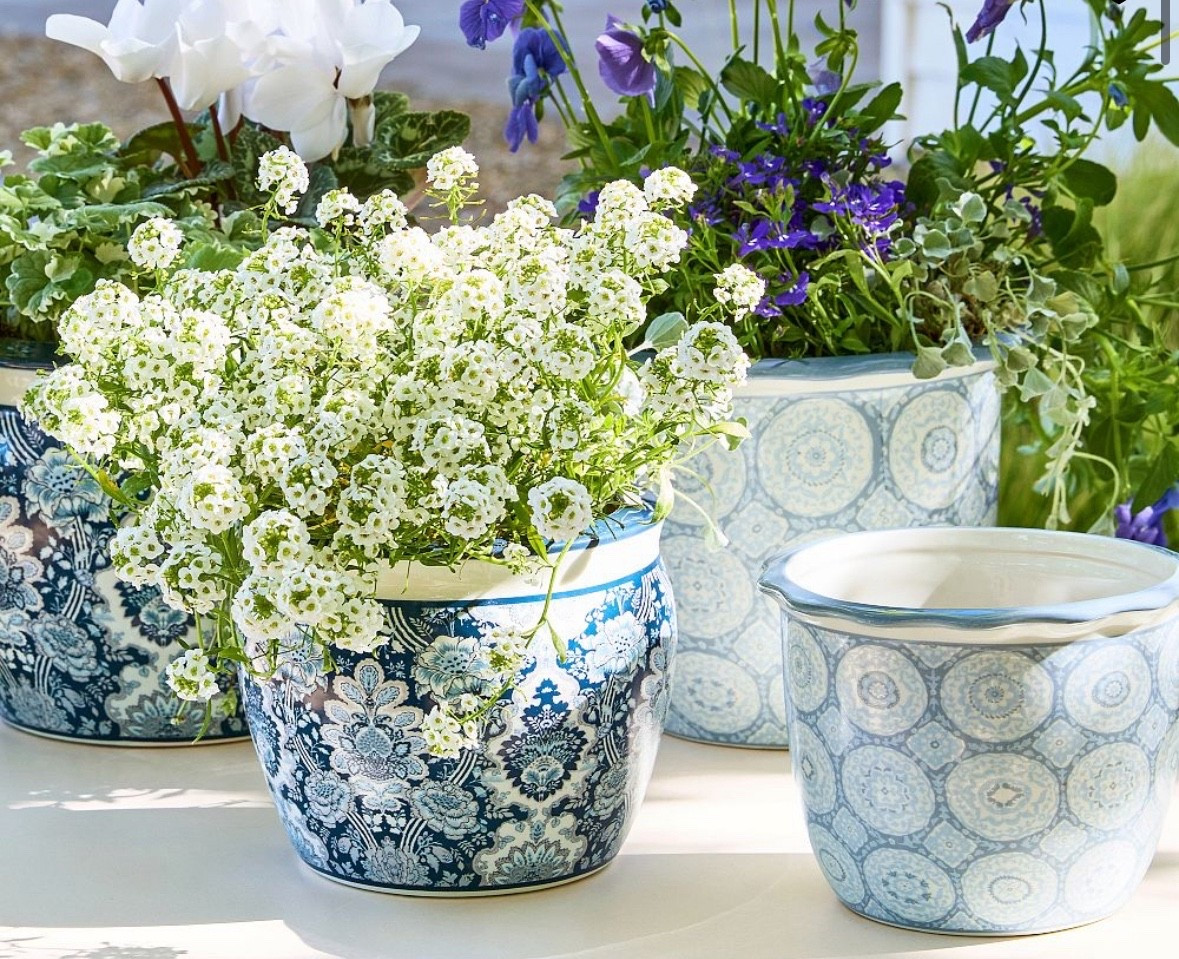 All the blue and white!! Love these, 2 sizes! 

#LTKSummerEdit