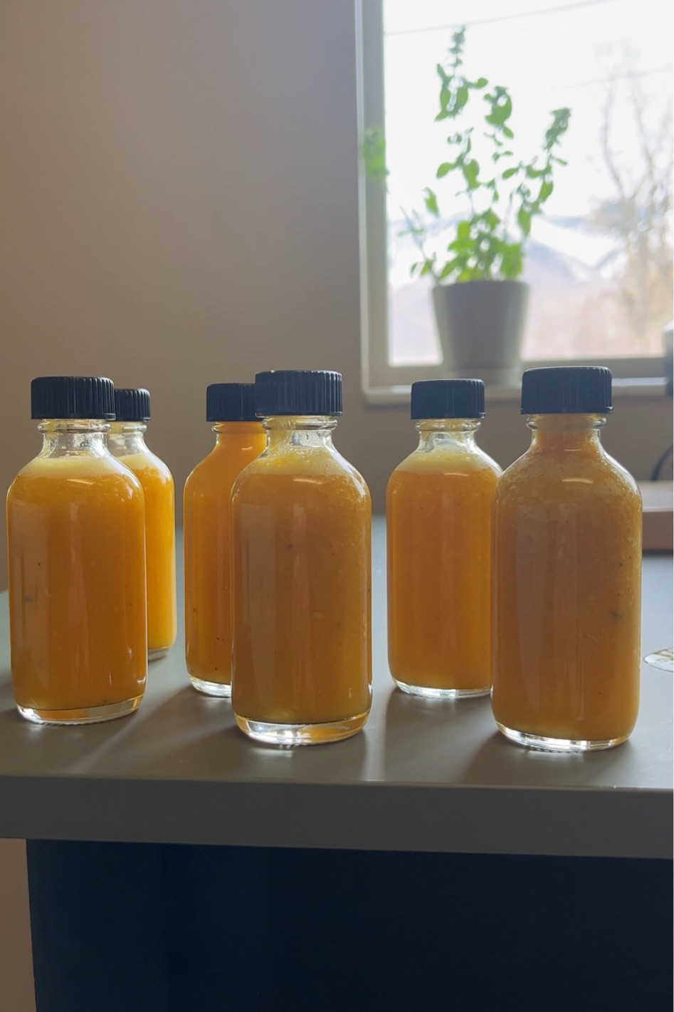 These small glass bottles with lids have been the perfect size for my immunity shots, wheat grass shots, and apple cider vinegar shots. You can get a pack of 12 2oz bottles for $11!!!

#LTKhome