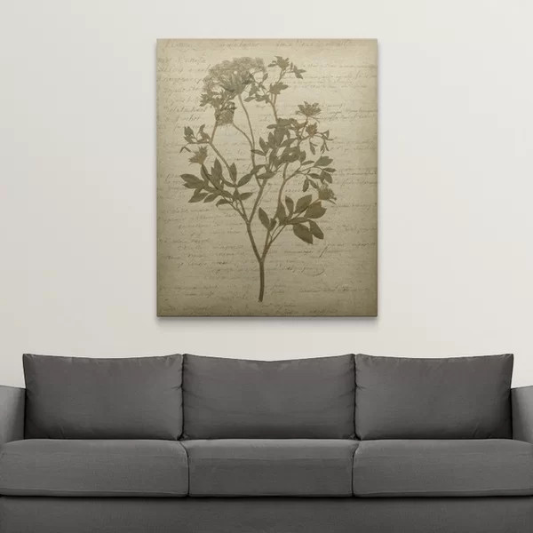 Romantic Pressed Flowers Romantic Pressed Flowers IV by Jennifer Goldberger - Graphic Art | Wayfair North America