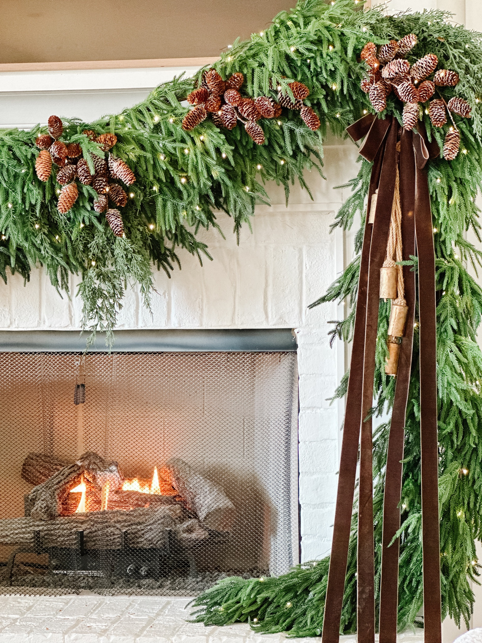 Chocolate brown velvet ribbon

#amazon #velvetribbon #ribbon #christmasribbon #christmasdecor



#LTKSeasonal #LTKHome #LTKHoliday
