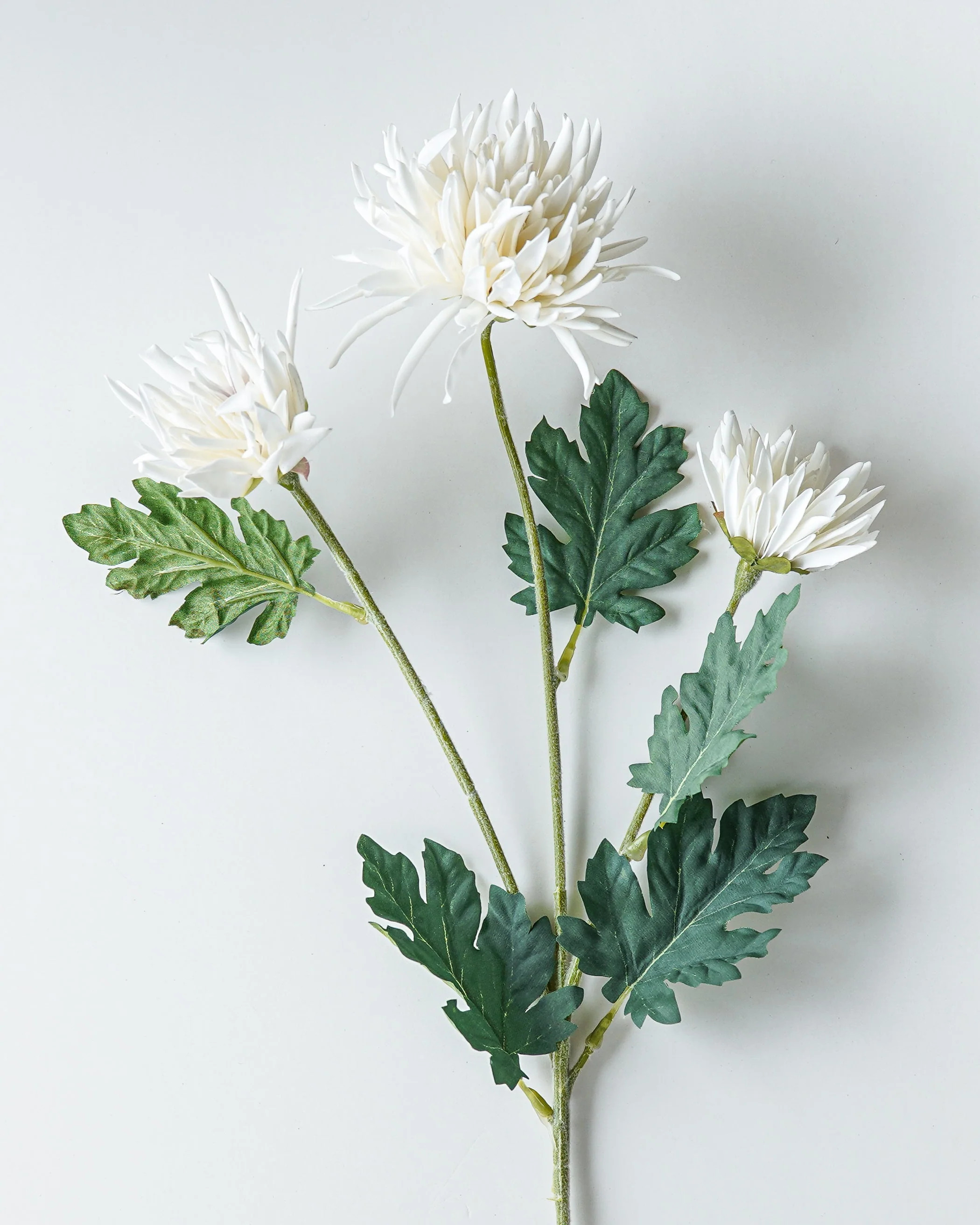 Chrysanthemum Stem | Cream | MJHome