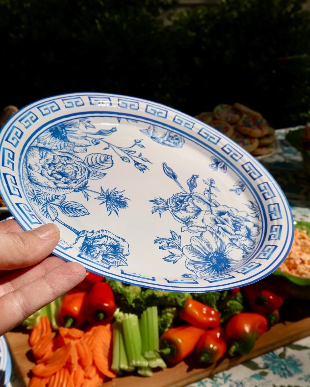 Hosting an outdoor dinner party? These disposable plates are great! 

#LTKHome #LTKFamily #LTKKids