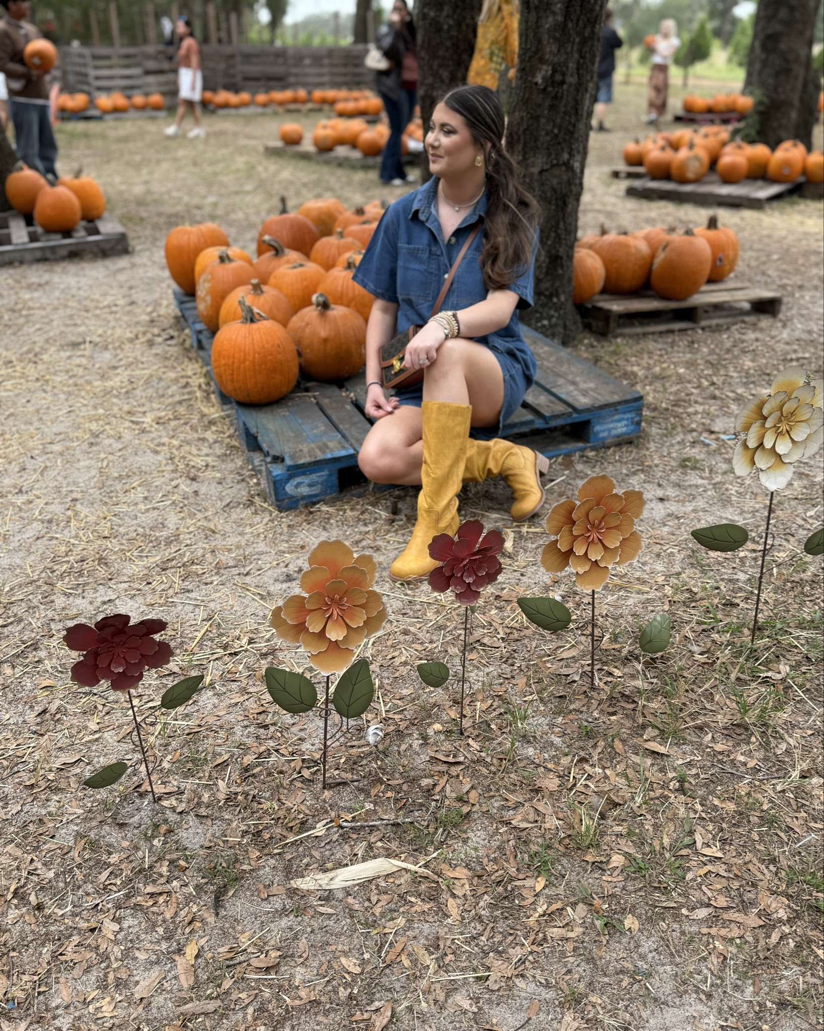 Fall at the farm 🐐🚜🌾🍁🧡


Fall festival outfit, pumpkin patch outfit, denim two piece set, banana boots, Frye boots, riding boots, equestrian style, trends, trending style, comfortable and stylish 

#LTKHalloween #LTKStyleTip #LTKSeasonal