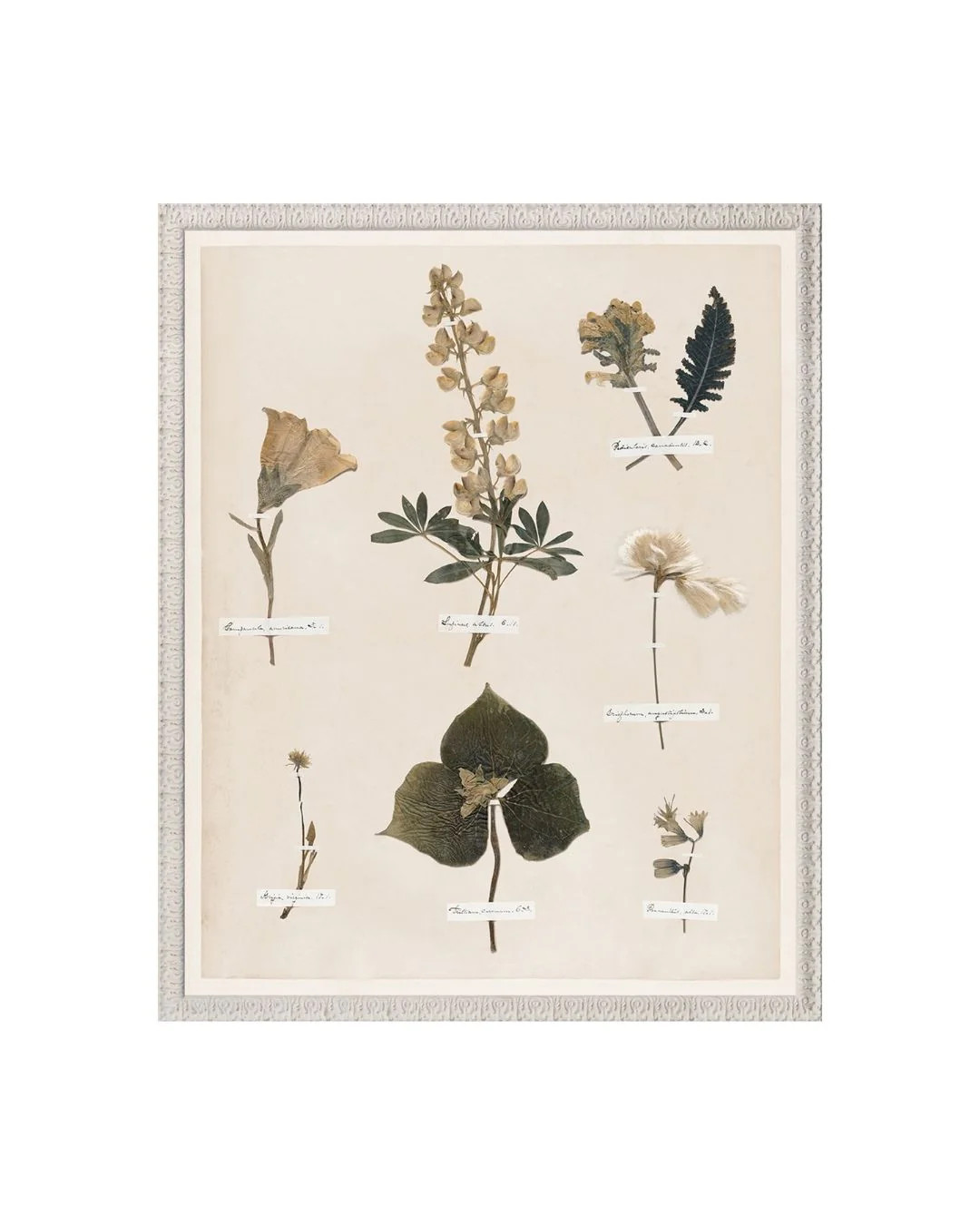 Emily's Pressed Garden | Brooke & Lou | Brooke and Lou