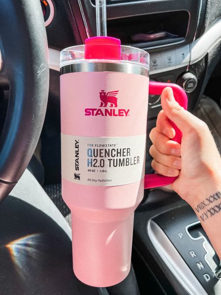 This is your sign to treat yourself to a new Stanley cup 🦩 #targetfinds #pink #stanleycups 


#LTKfindsunder50 #LTKfitness #LTKhome