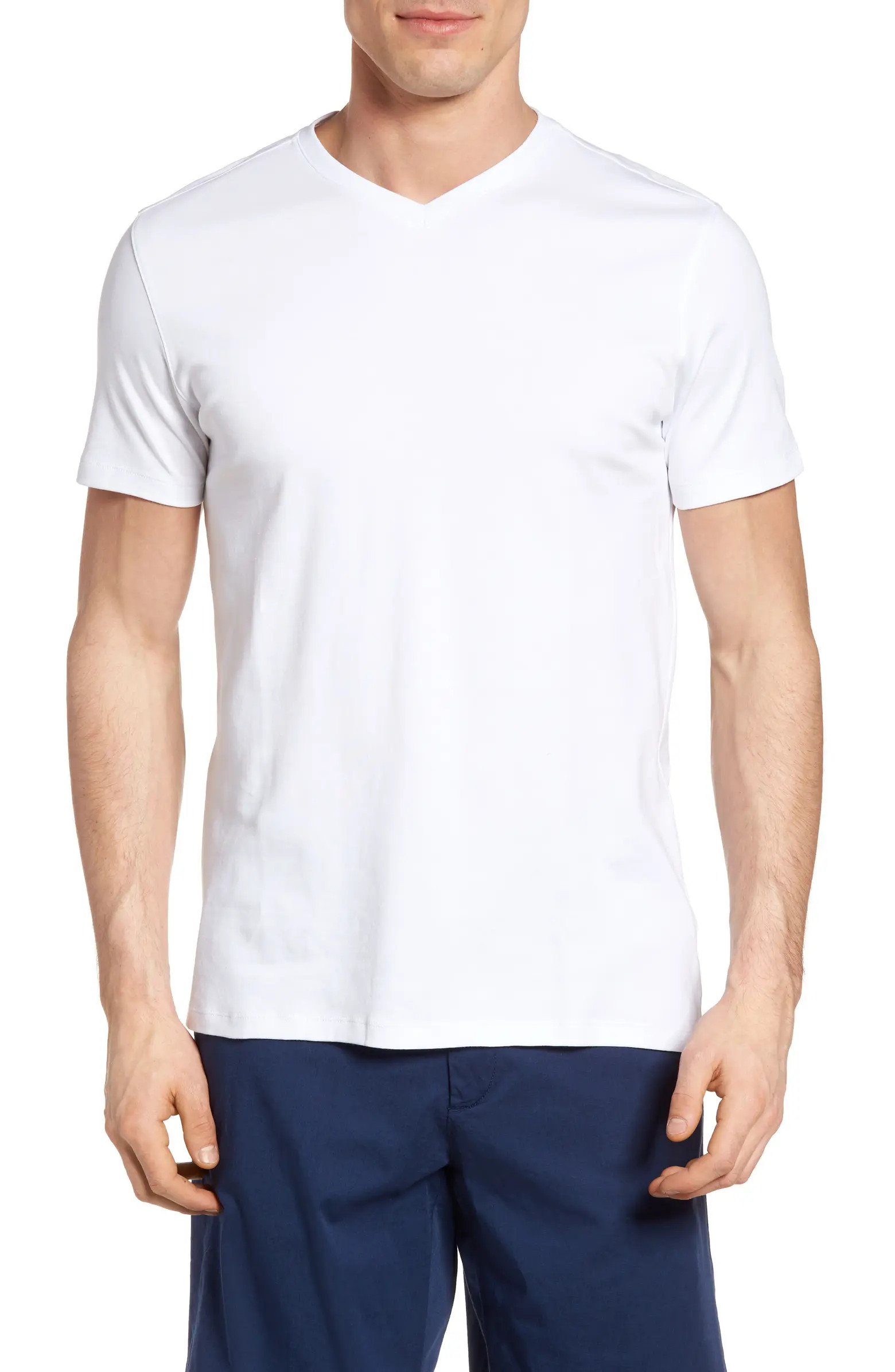 Robert Barakett Georgia Regular Fit V-Neck T-Shirt | Nordstrom | Nordstrom