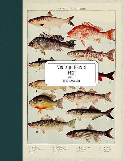 Vintage Prints: Fish: Vol. 1 | Amazon (US)