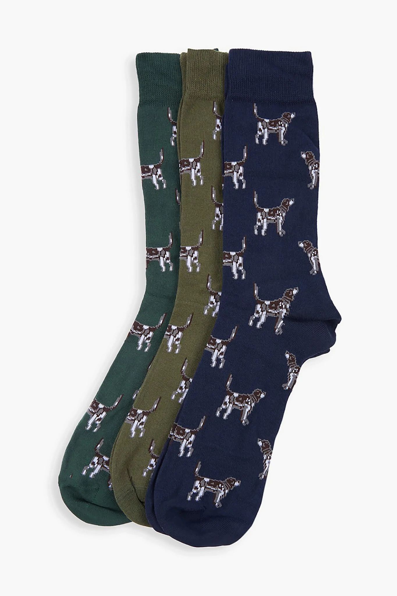 Pointer Dog Socks Gift Box | Tuckernuck (US)