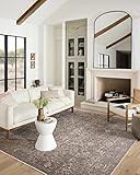 Amazon.com: Loloi II Vance Collection VAN-08 Taupe / Dove, Traditional 7'-10" x 10' Area Rug : Ho... | Amazon (US)