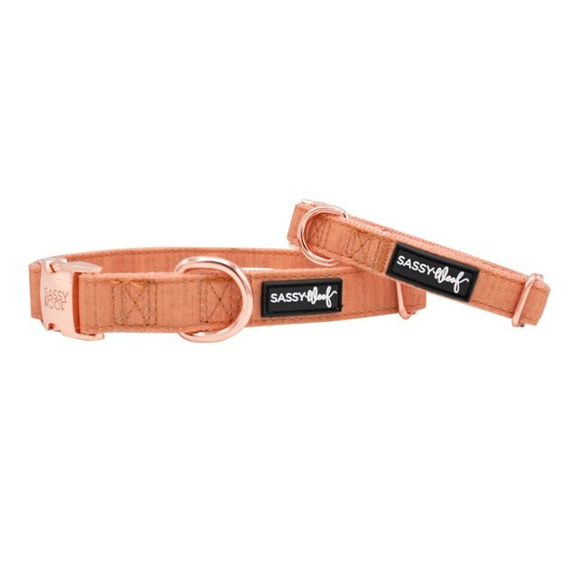 SASSY WOOF Dog Collar, Apple Cider, Small - Chewy.com | Chewy.com