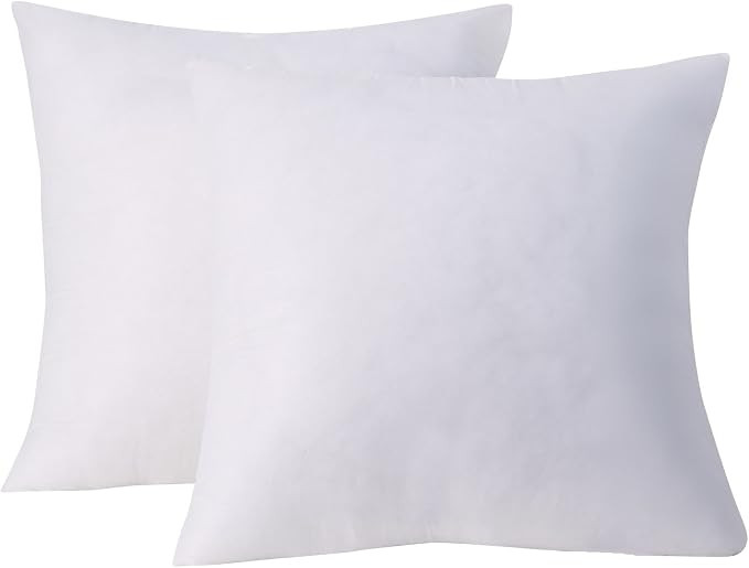 Acanva Square Basic Poly Pillow Insert, 28" L x 28" W, White 2 Pack | Amazon (US)