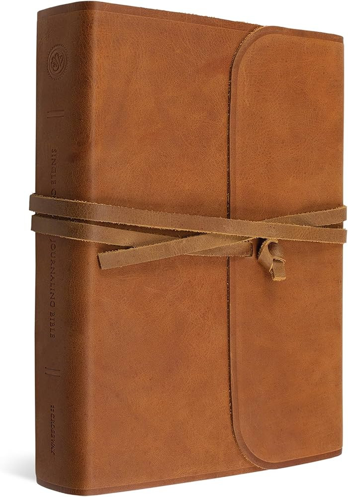ESV Single Column Journaling Bible, Large Print (Brown, Flap with Strap) | Amazon (US)