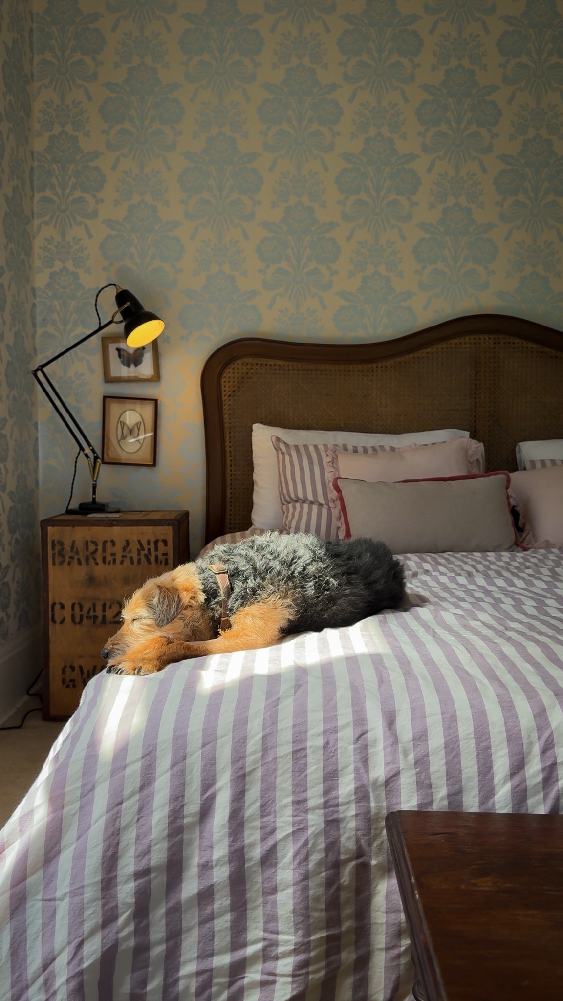 Cosy master bedroom with rattan bed and striped linen bedding. 



#LTKhome #LTKuk #LTKeurope