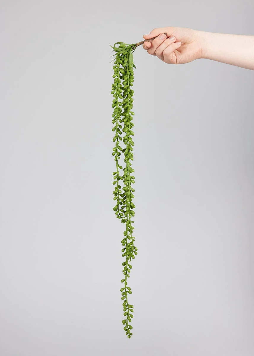 String of Pearl Succulent | Fake Hanging Plants at Afloral.com | Afloral