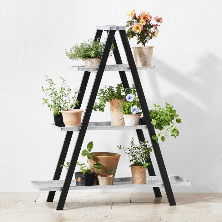 Vintage A-Frame Ladder Plant Stand with Galvanized Shelves | Williams-Sonoma
