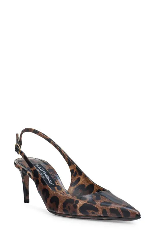 Dolce&Gabbana Lollo Leopard Print Pointed Toe Slingback Pump in Brown Print Leopard at Nordstrom, Size 8.5Us | Nordstrom