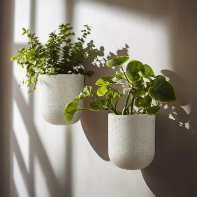 Wall Hanging Planters For Indoor Plants,Hanging Flower Pots For Air Plants Succulent, Set Of 2, 5.7L*4.1W*7H, Speckled White | Wayfair North America