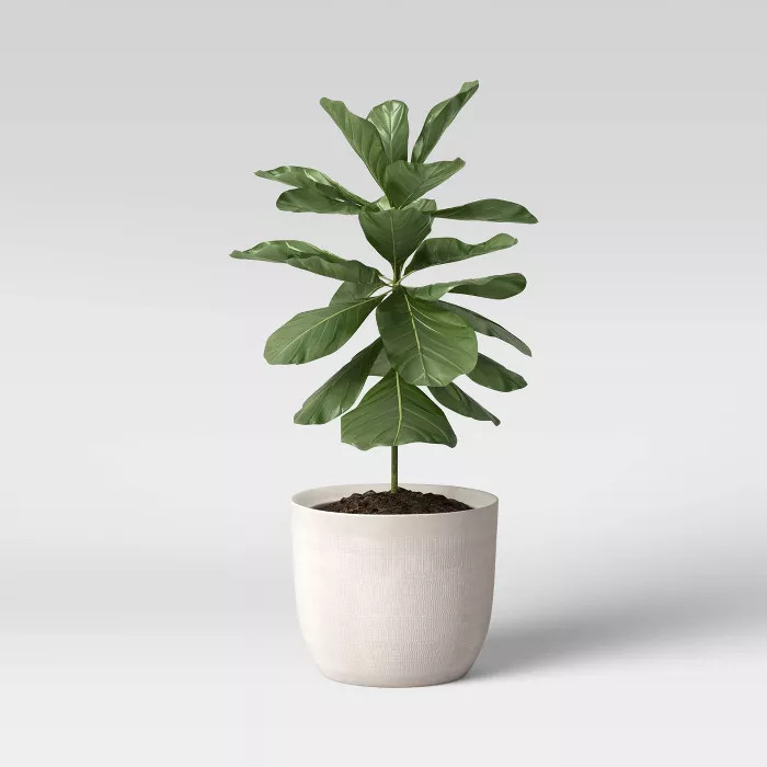 Textured Ceramic Planter White - Project 62™ | Target