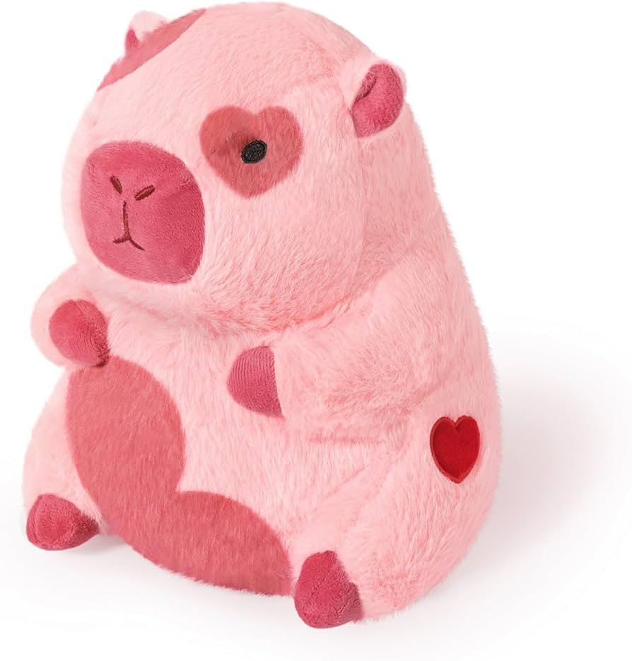 Ditucu Original Loving Capybara Plush with Red Heart 11 inch Cute Capibara Stuffed Animal for Rom... | Amazon (US)