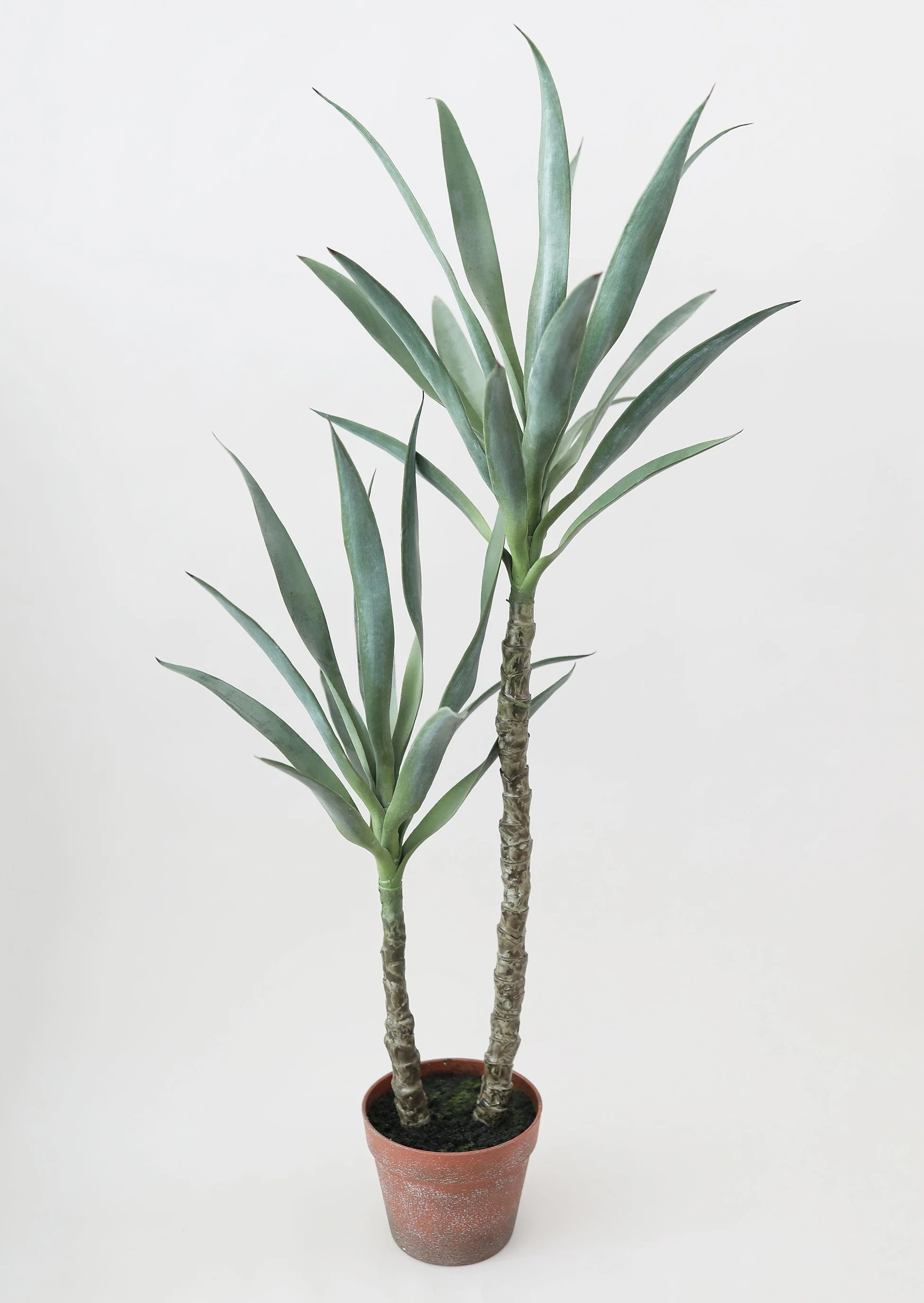 Yucca Tree in Pot | Faux Potted Plants at Afloral.com | Afloral