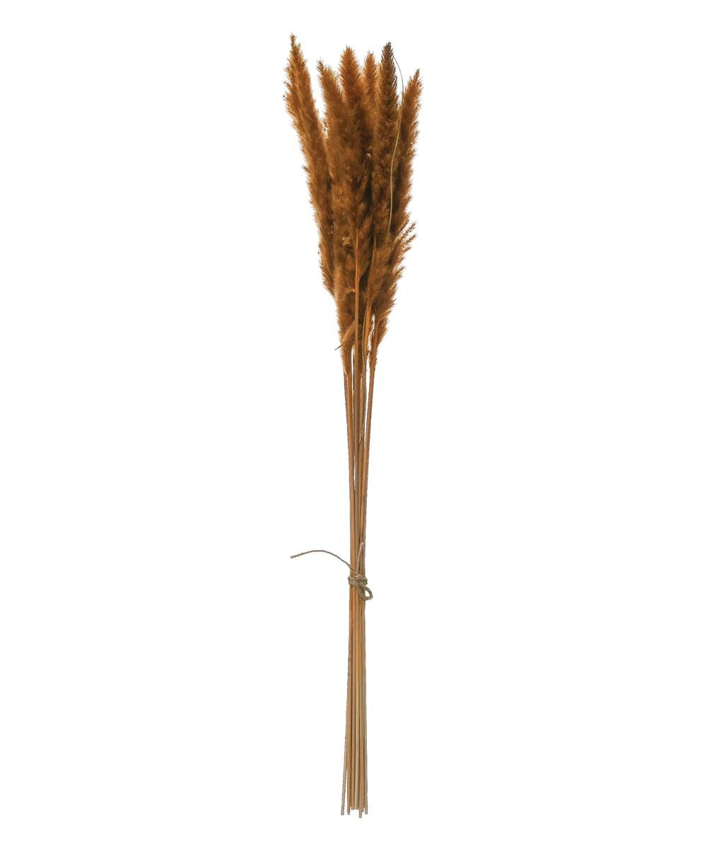 Creative Co-Op Floral - Dried Natural Pampas Grass Arrangement | Zulily
