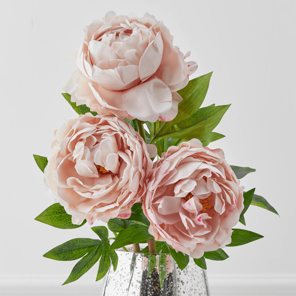 Peony - Set of 3 | Z Gallerie