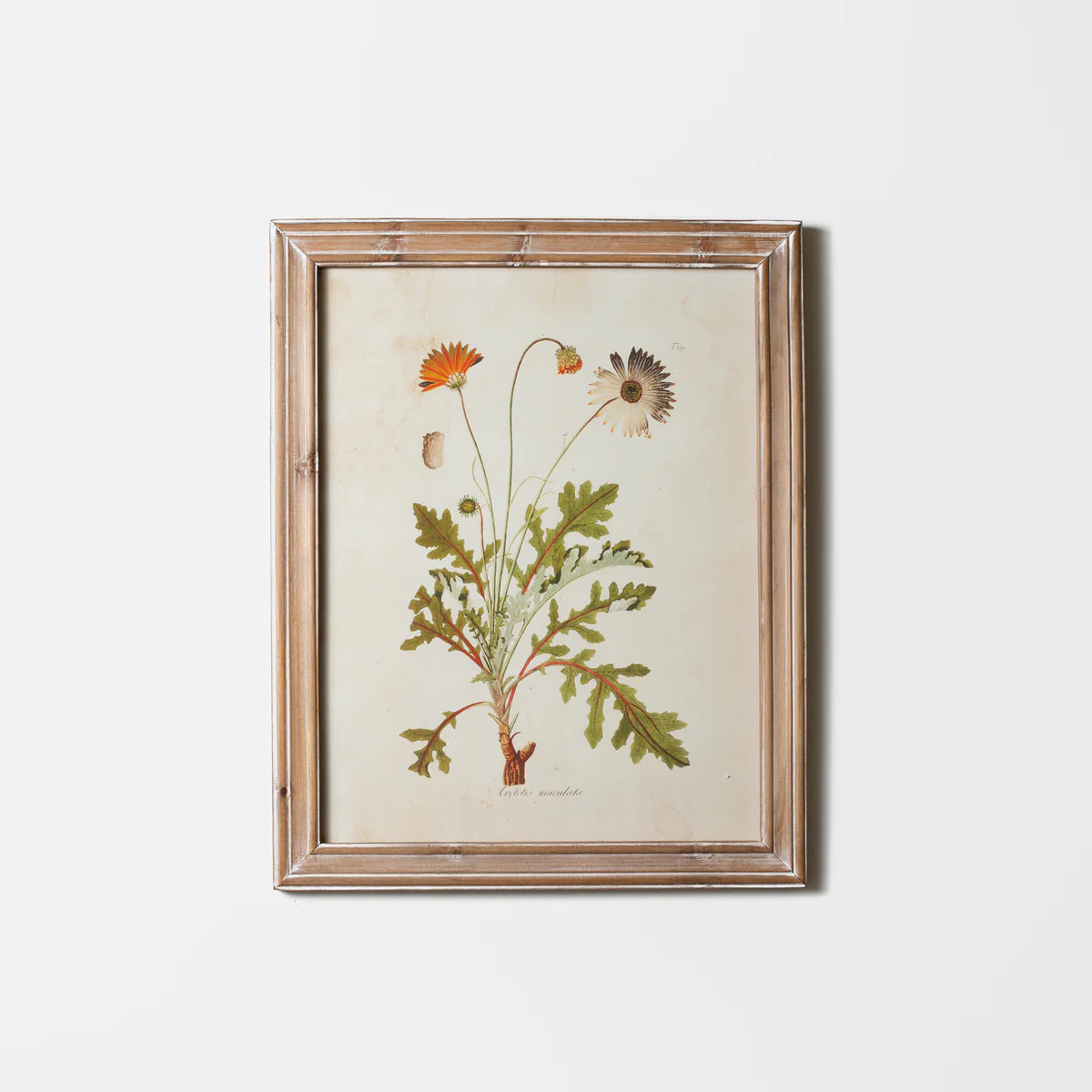 Golden Wildflower Study | Stoffer Home
