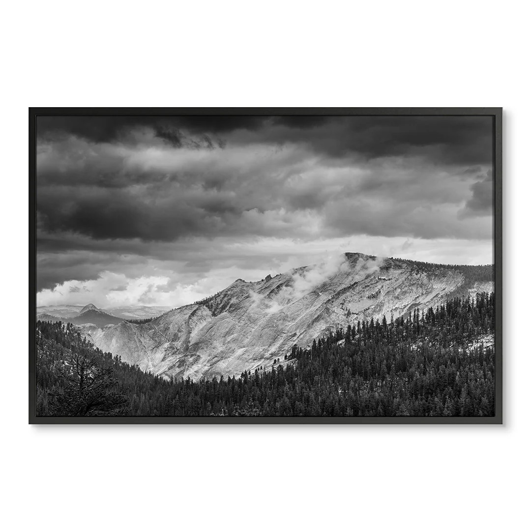 Memorable View | Wholesale Giclee Prints | Urban Garden Prints