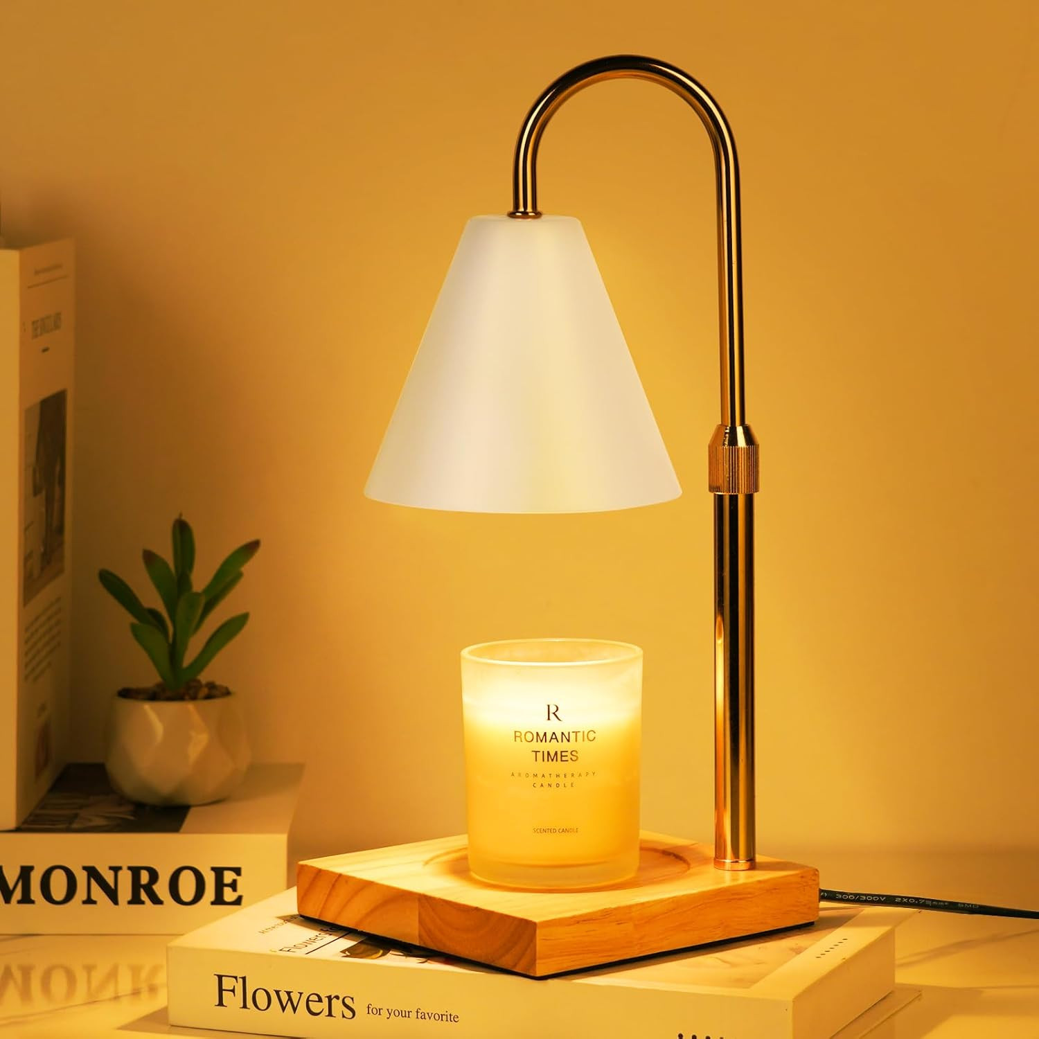 White Candle Warmer Lamp with Timer Dimmer, Electric Candle Lamp Warmer for Bedroom Decor, Birthd... | Amazon (US)