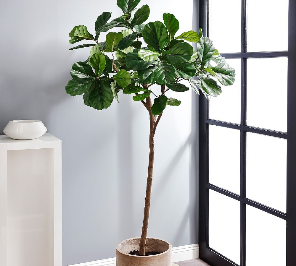 Faux Potted Fiddle Leaf Fig Tree | Pottery Barn (US)