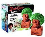 Amazon.com: Chia Pet Bob Ross with Seed Pack, Decorative Pottery Planter, Easy to Do and Fun to G... | Amazon (US)