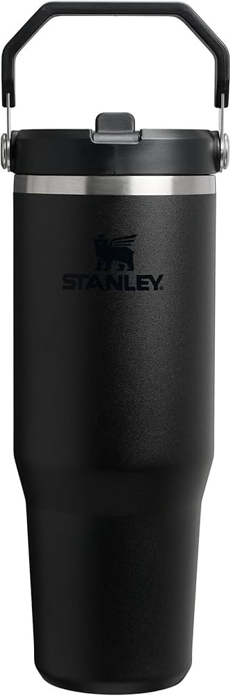 Stanley IceFlow 2.0 Flip Straw Tumbler with Handle 30 oz | Twist On Lid and Flip Up Straw | Leak ... | Amazon (US)