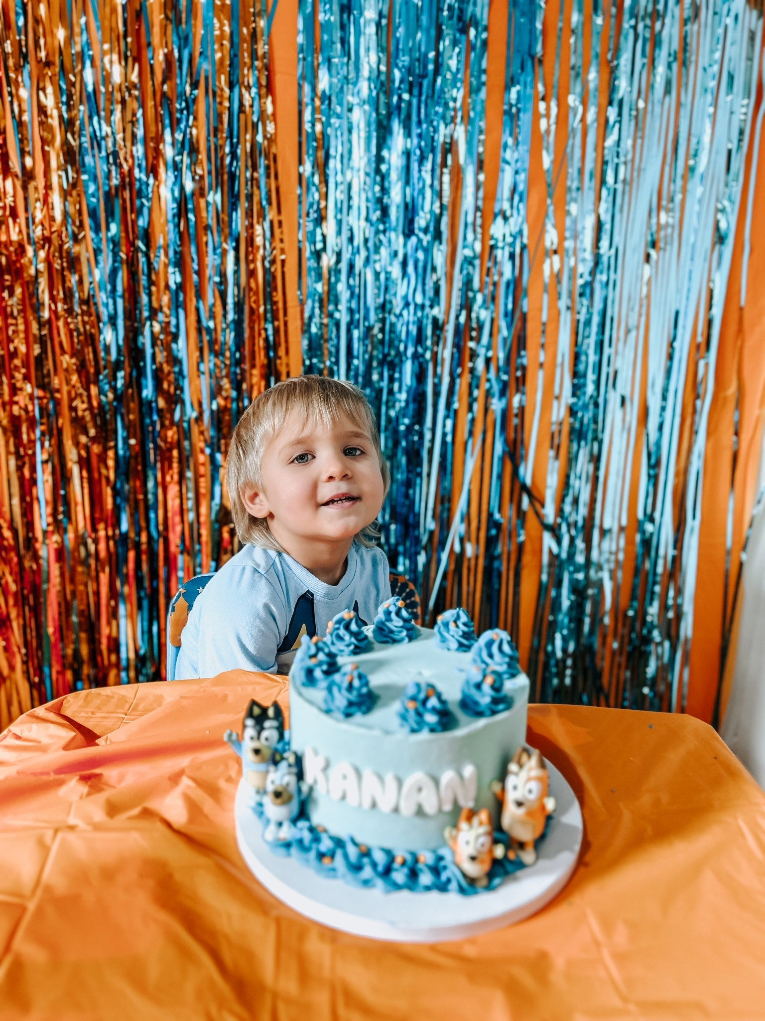 Bluey Birthday party decorations, boy birthday party, 3 years old birthday, Bluey 

#LTKParties #LTKSeasonal #LTKKids