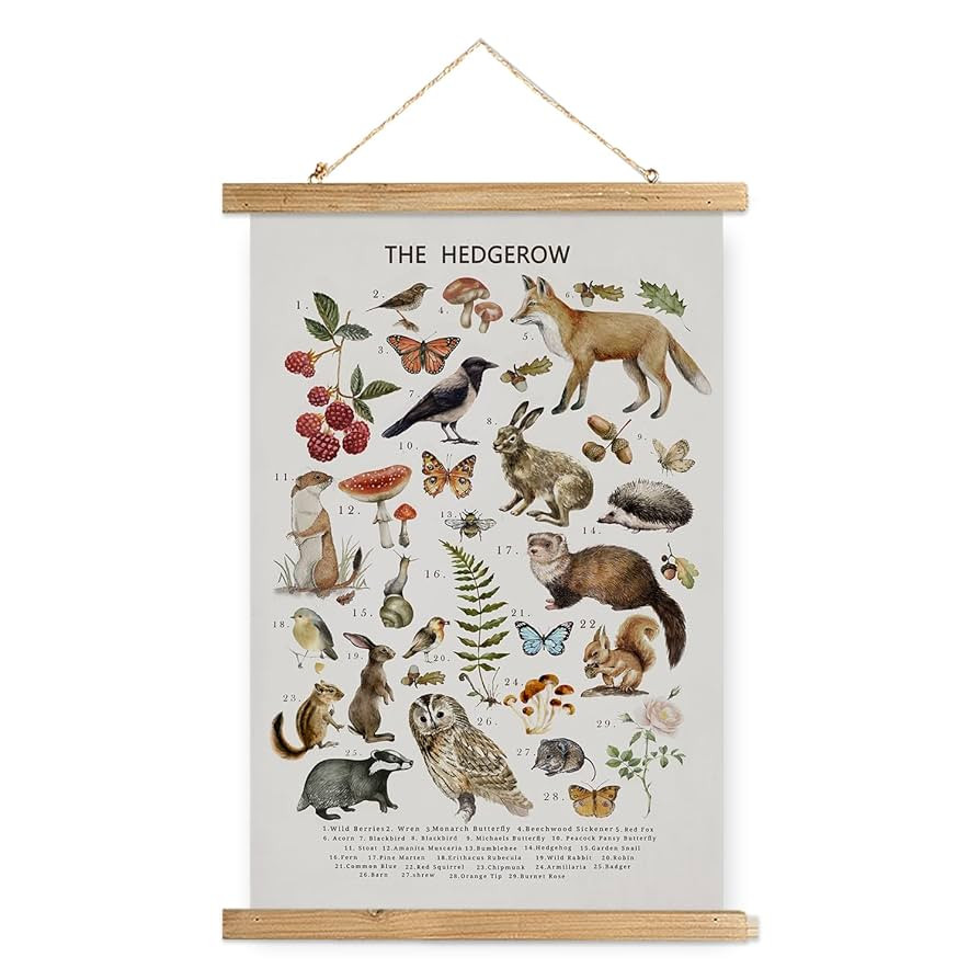 XIAOAIKA British Hedgerow Wildlife Educational Poster - Illustrated Nature Chart with Wooden Fram... | Amazon (US)