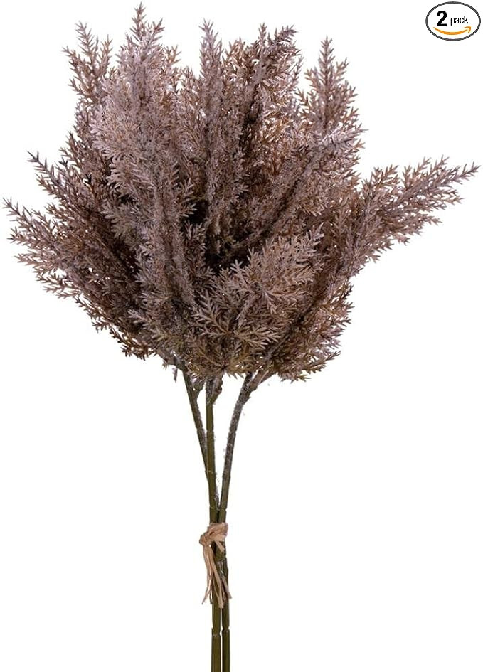 Vickerman 715567-13.5" Light Brown Fern 2/Bundle (FM222314) Home Office Picks and Sprays | Amazon (US)