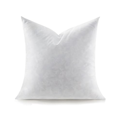 Swandream Feather Throw Pillow Insert, Soft Fluffy Square 20 x 20 Inches Decorative Pillow Insert, Feather and Down Euro Pillows for Bed, Couch and Cushion | Amazon (US)