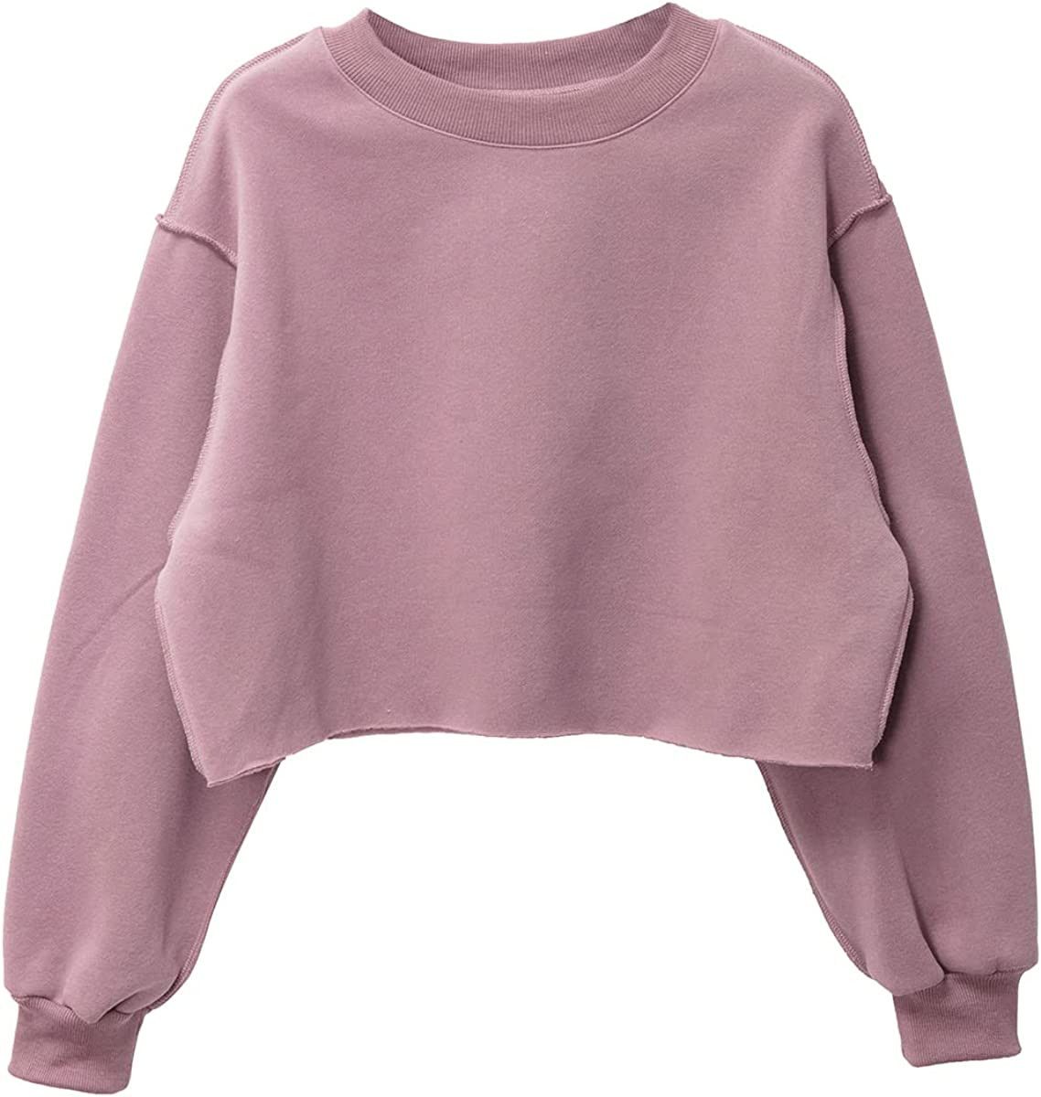 Amazhiyu Women Cropped Sweatshirt Long Sleeves Pullover Fleece Crop Tops | Amazon (US)