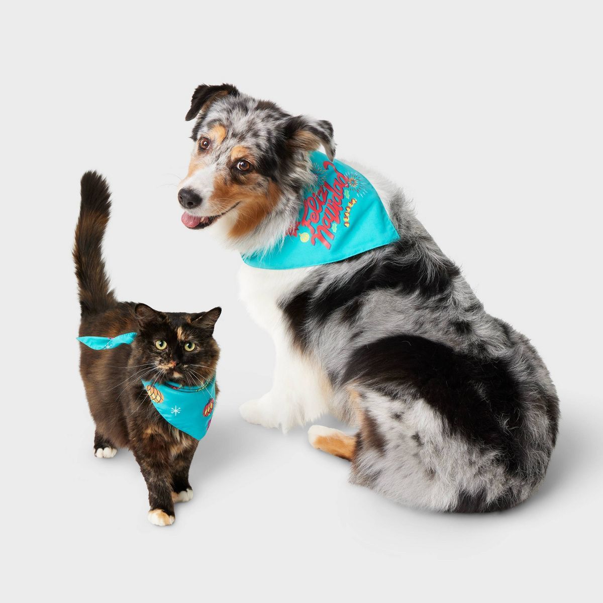 Feliz Navidad Matching Family Cat and Dog Bandana - Wondershop™ with Dia Pacheco - Teal Blue - ... | Target