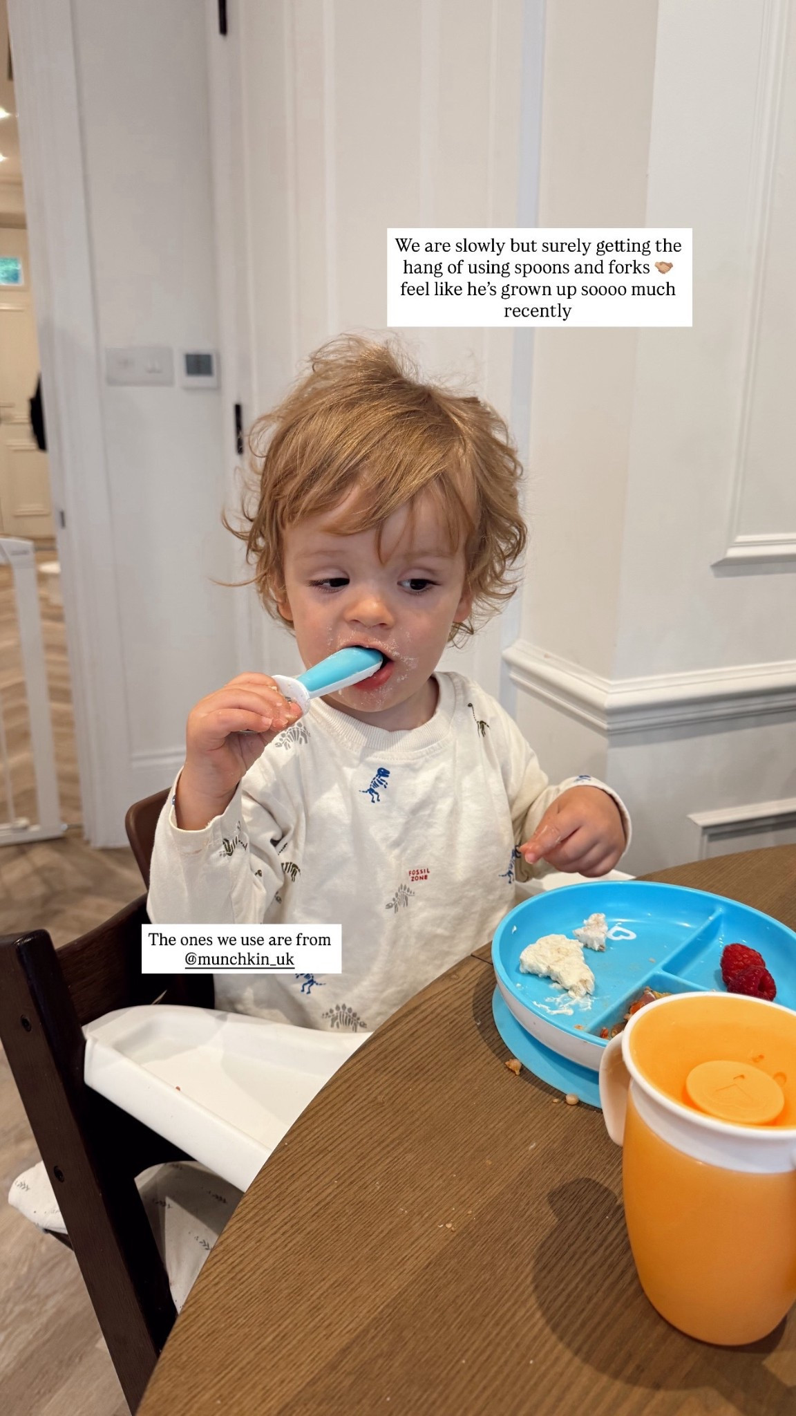 The best products for weaning your baby! 

#LTKmaternity #LTKbaby #LTKkids