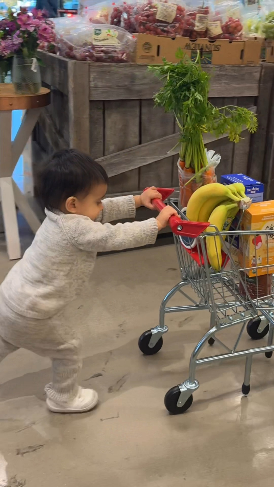 Grab a cart and let your baby do the heavy lifting 🛒 #groceryshopping #musthave #toddlerthings #momlife

#LTKKids #LTKSaleAlert #LTKFamily