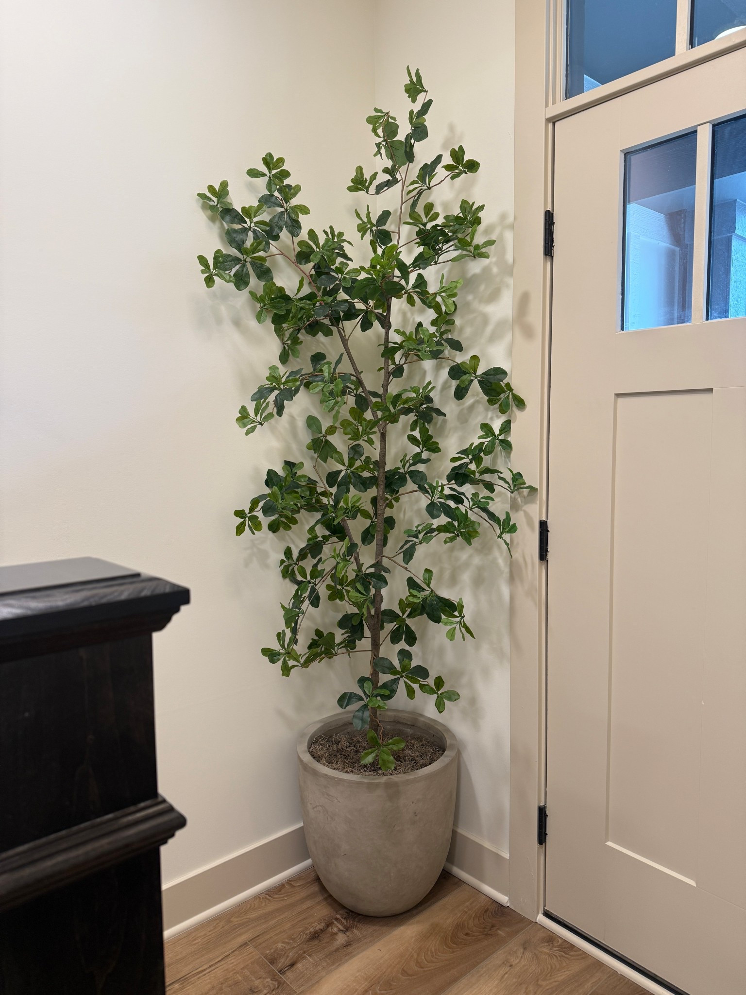 Faux Tree 

#LTKHome