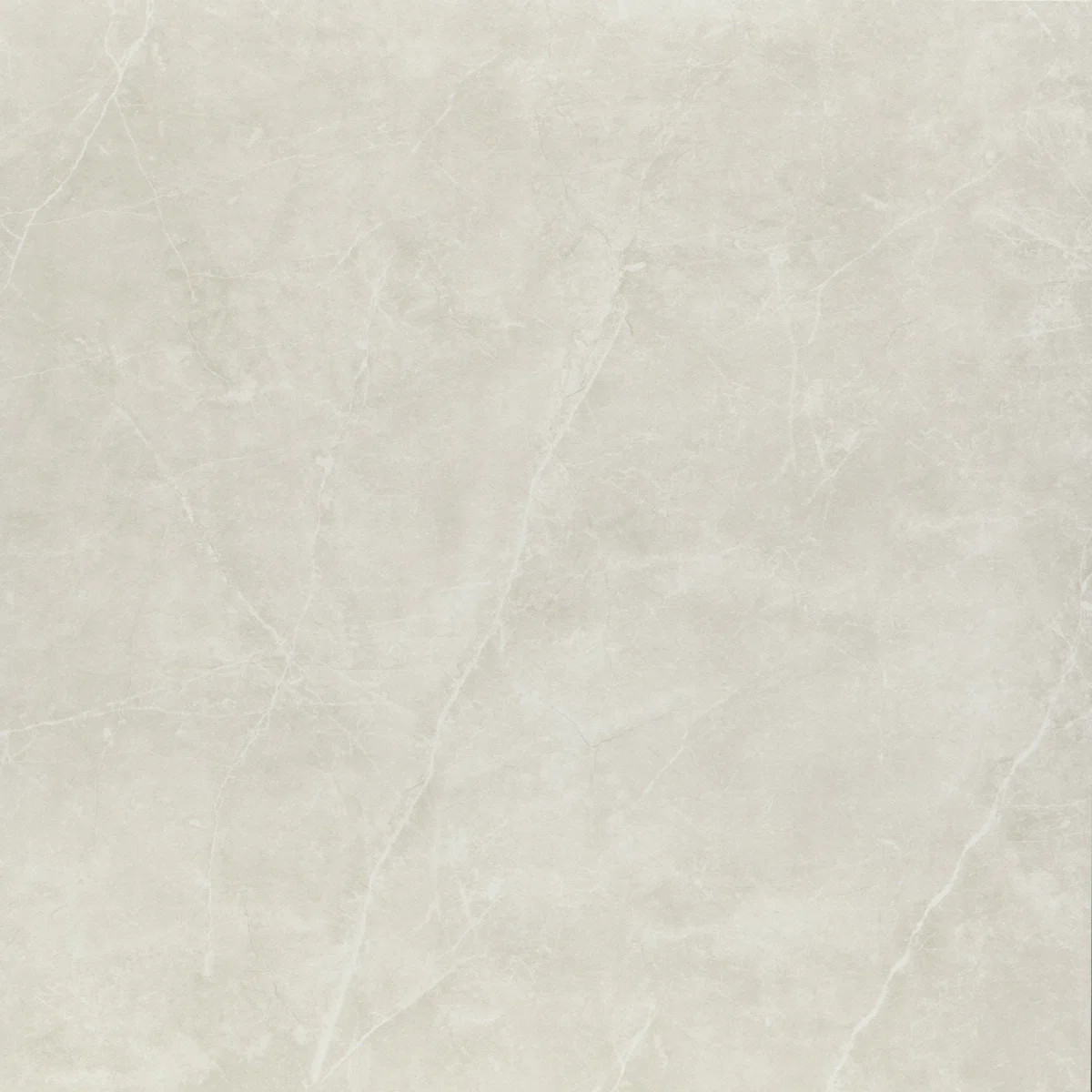 Sterlina II Asphalt 24 in. x 24 in. Matte Porcelain Floor and Wall Tile (15.5 sq. ft./Case) | Wayfair North America