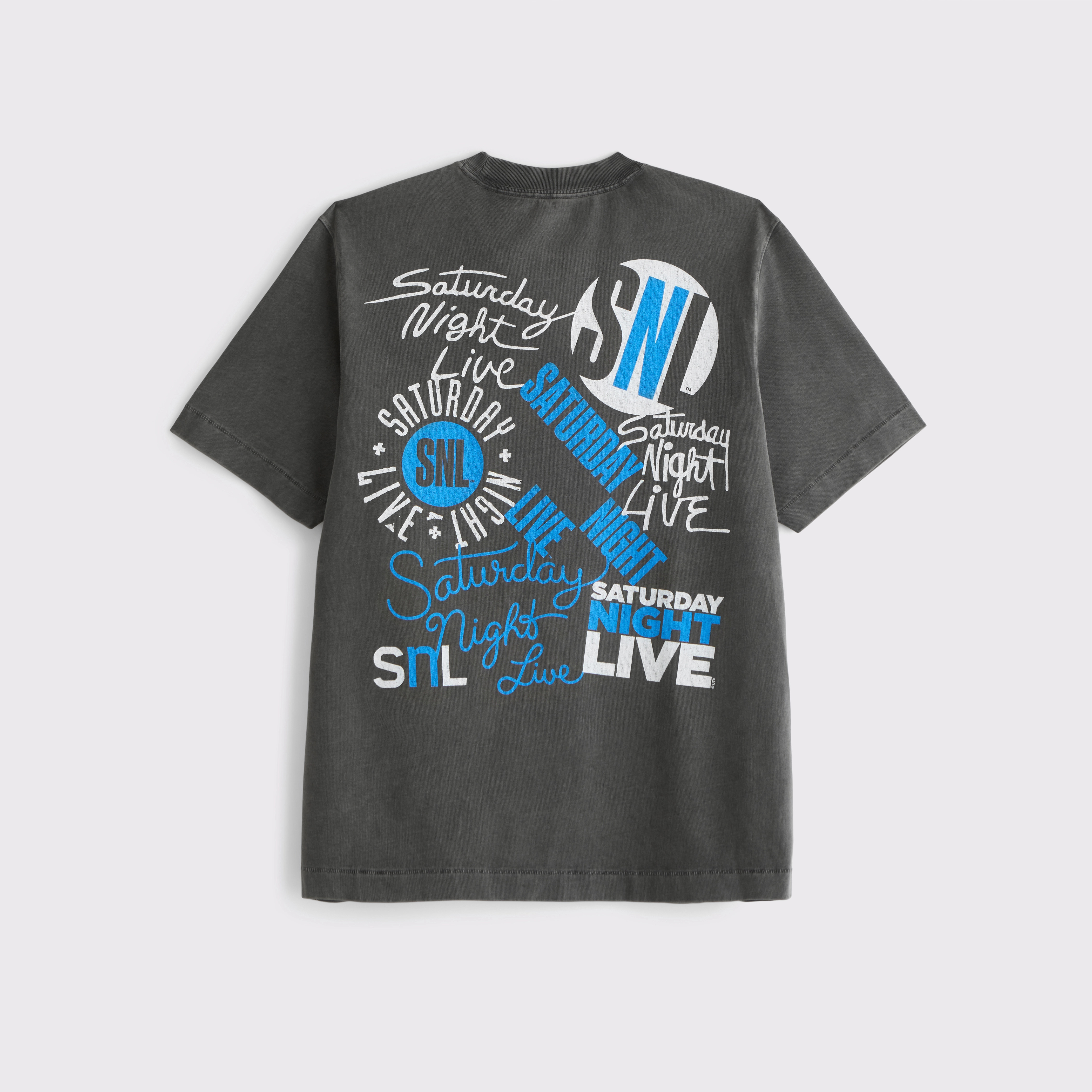 Premium Heavyweight 2.0 SNL Graphic Tee | Abercrombie & Fitch (US)