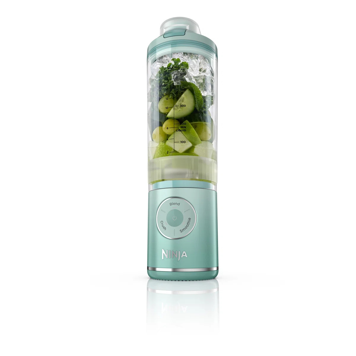 Ninja Blast Max Portable Blender, 22 oz. Twist & Go Vessel | Wayfair North America