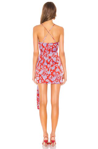 Lovers and Friends Kamala Mini Dress in Red & Purple Floral from Revolve.com | Revolve Clothing (Global)