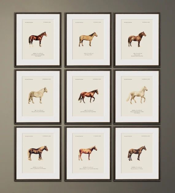 Vintage Equestrian Prints  Choose From 9 Prints  Restoration - Etsy | Etsy (US)
