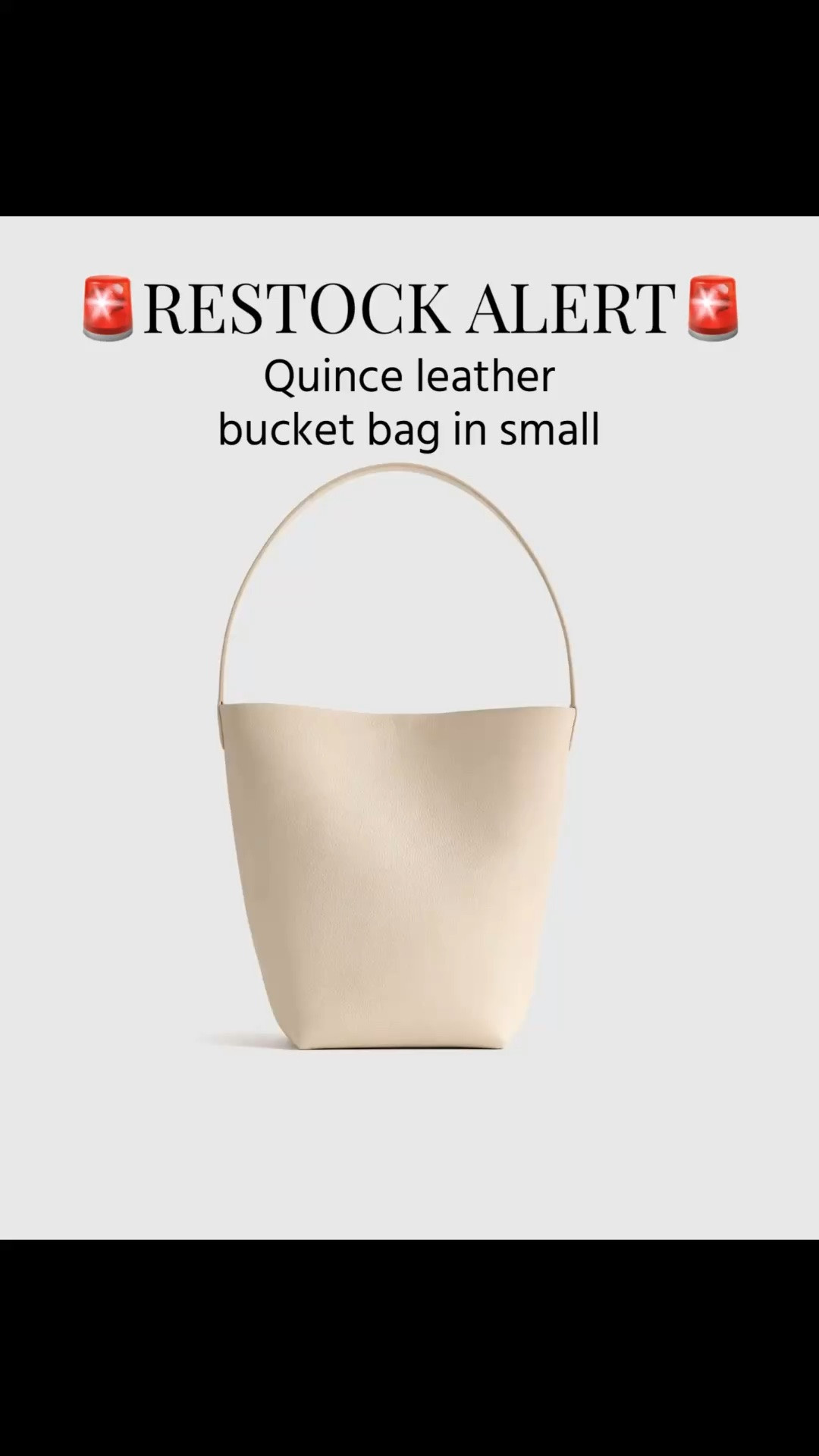 This is not a drill! The quince leather bucket bag- small is restocked in almost every color. Run!